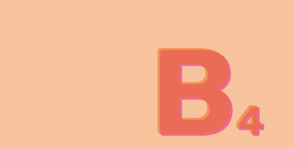 weiterbildungen_b4